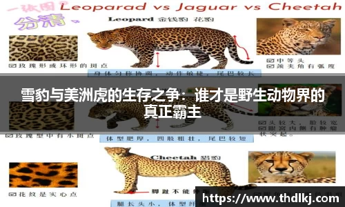 jbo竞博电竞官方网站