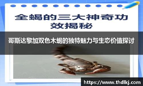 JBO竞博·体育